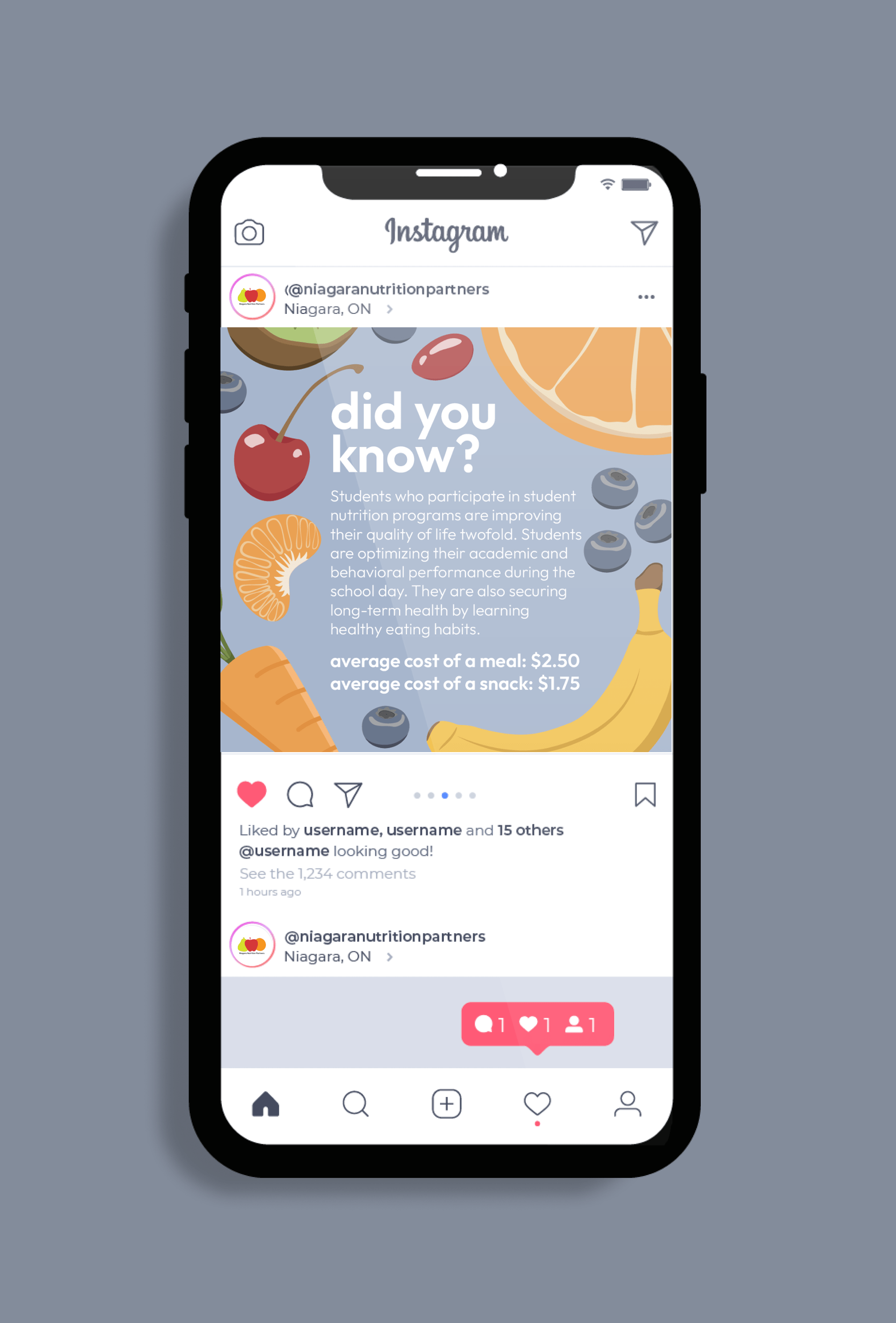NNP social media